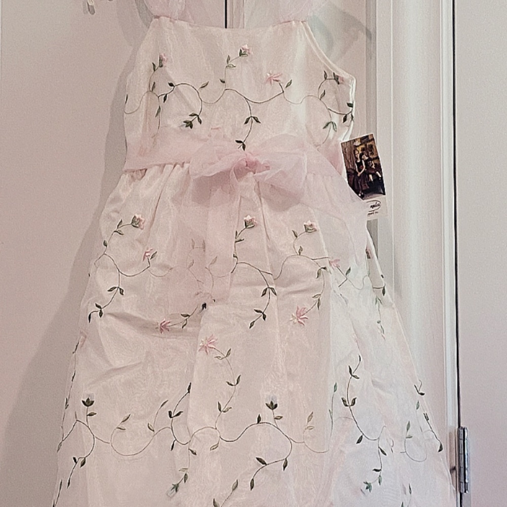 Dimples Pink Organza Size 8 US Girls Dress